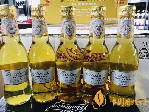 百威啤酒金尊圖片價(jià)格 百威金尊賣(mài)多少錢(qián)一瓶?