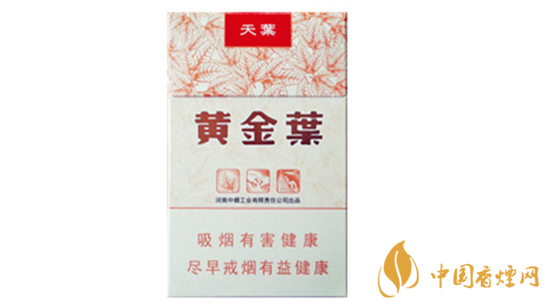 黃金葉天葉真?zhèn)卧趺幢鎰e？天葉真假如何看？