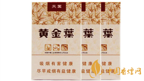 2020黃金葉天葉怎么樣？黃金葉大小天葉有什么不同