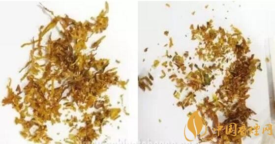 冬蟲夏草（和潤）真假鑒別，春節(jié)防止被騙