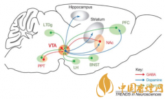 煙癮是什么 煙癮犯了怎么辦！