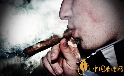 專家手把手教會你抽長城雪茄 秒變雪茄老手