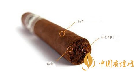 雪茄茄套的作用 雪茄茄套的來源
